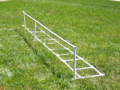 Dog Agility Training Ladder